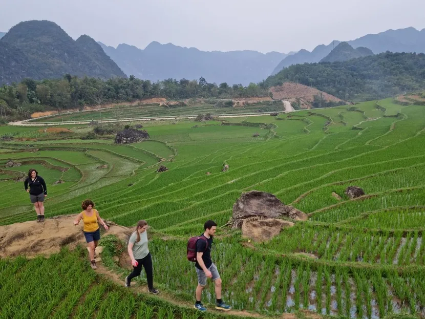 rizières en terrasses pu luong