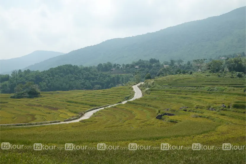 riziere en terasse pu luong nord vietnam