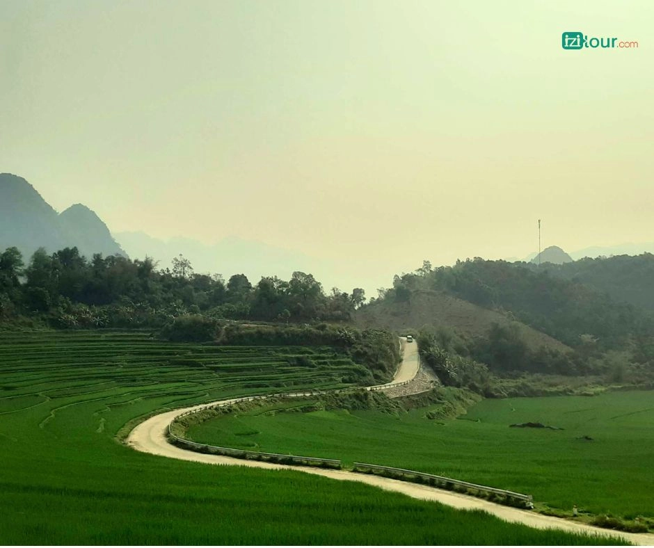 pu luong au vietnam