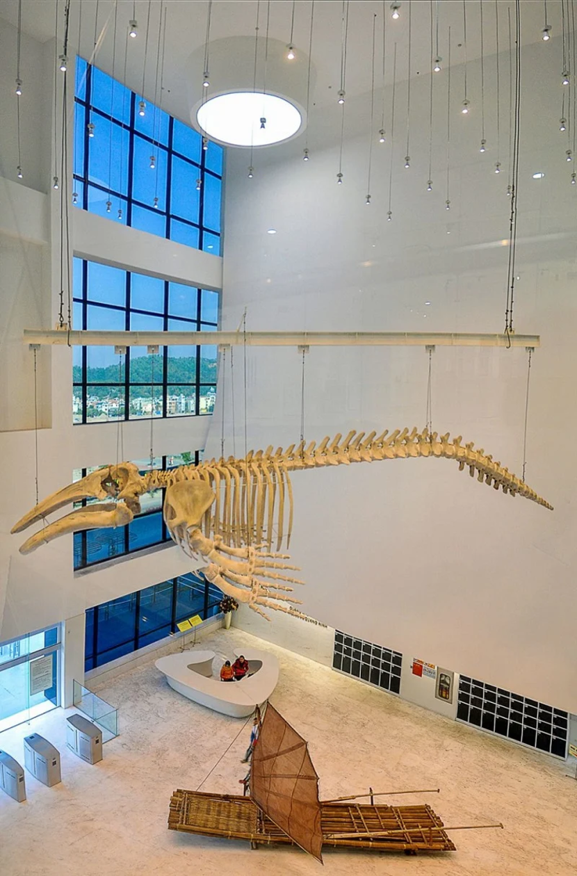 quang ninh museum dinosaur skeleton