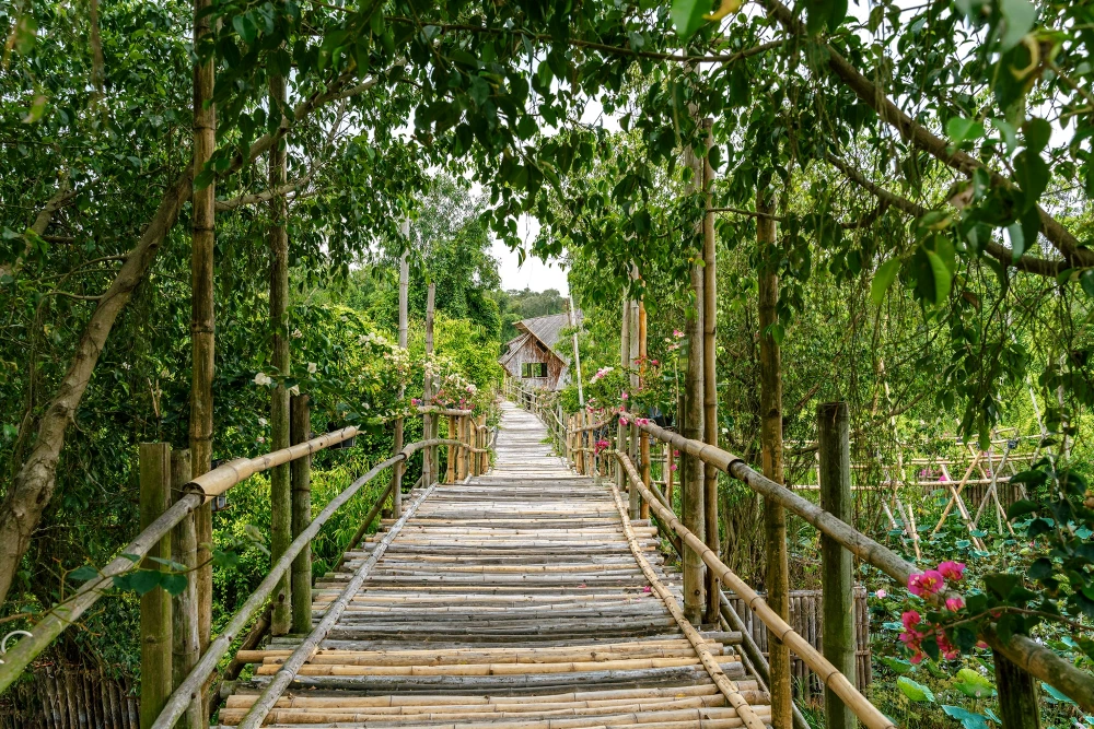 Vista della passerella di bamb&ugrave; di Tra Su nel cuore della foresta allagata