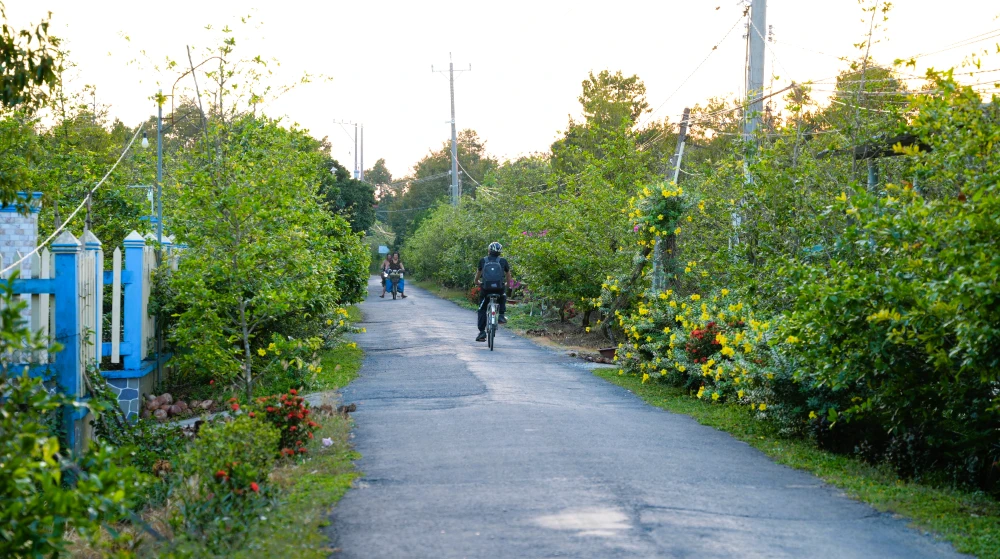 cycling along the lanes near a mekong homestay