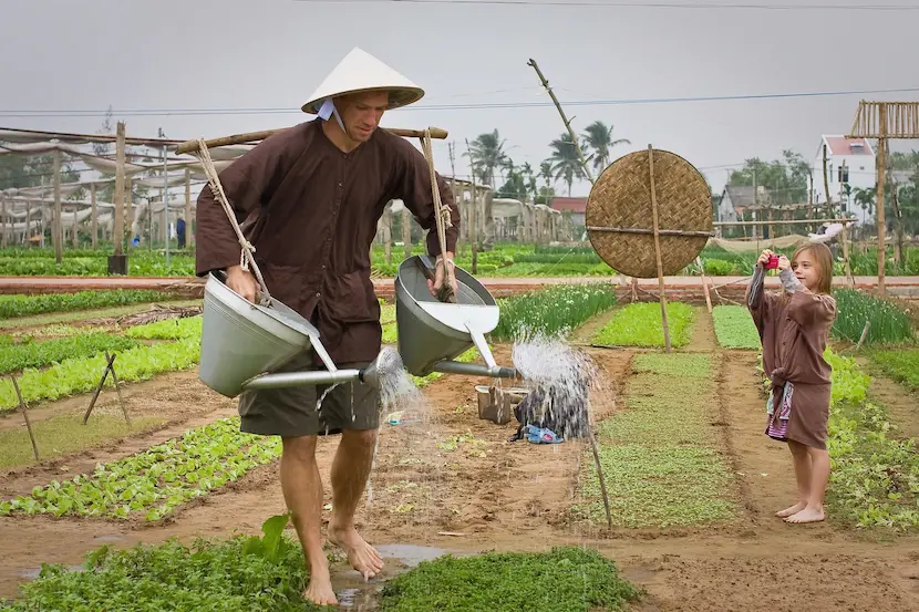 pueblo de hierbas tra que ciudad antigua de hoi an