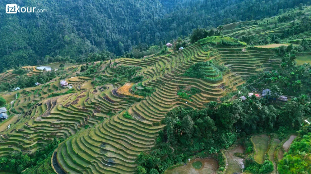 Arrozales en terrazas alrededor del pueblo de Lung Vai en Ha Giang