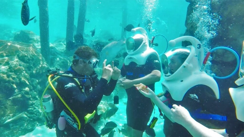 vietnam scuba diving quy nhon