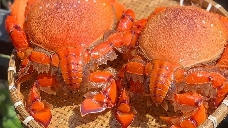 quy nhon food crab