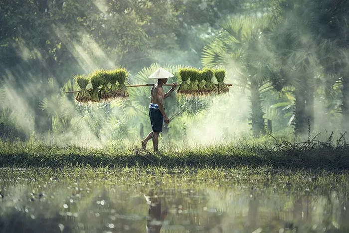 saison des pluies au cambodge
