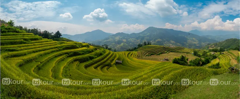 riziere vietnam nam khoa