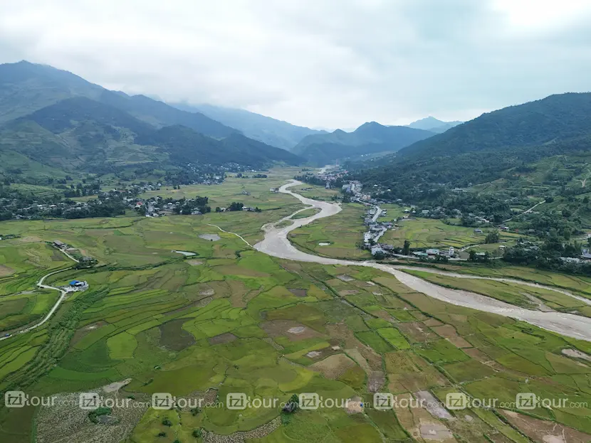 riziere au vietnam tu le