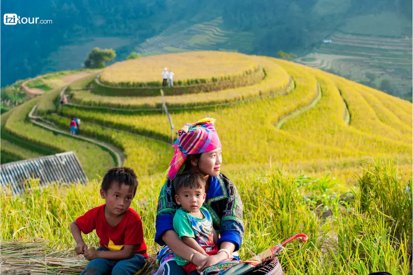 Popolazione Hmong sulle risaie a terrazza in Vietnam
