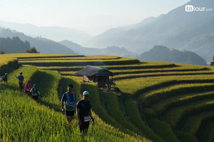 Terrazze di riso Vietnam Mu Cang Chai