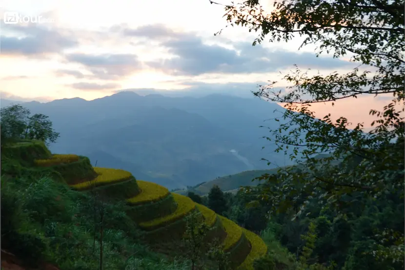 Terrazze di riso di Mu Cang Chai, Vietnam