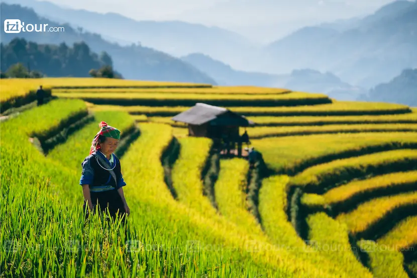 Terrazzamenti di riso di Mu Cang Chai, risaia Vietnam