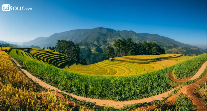 Terrazza di riso Vietnam Mong Ngua