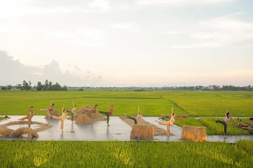 visit hoi an rice fields