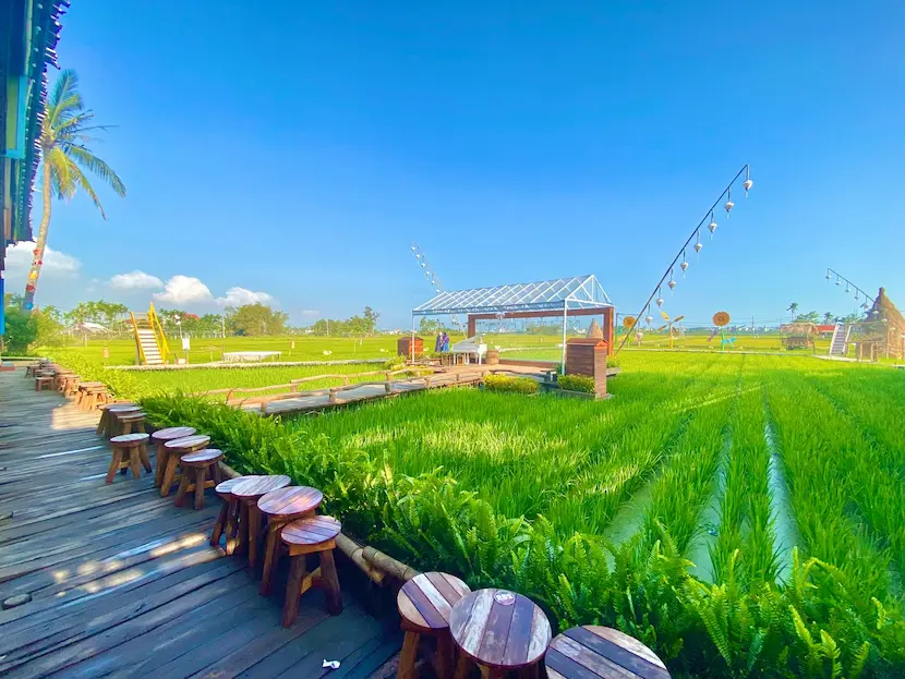 rice field cafe hoi an