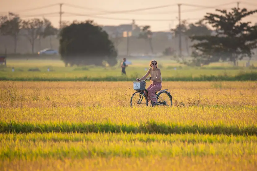 cycling among the rice fields of Hoi An