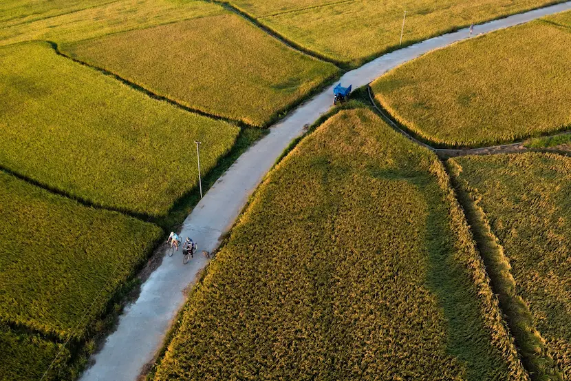 hoi an rice paddies viewed from above