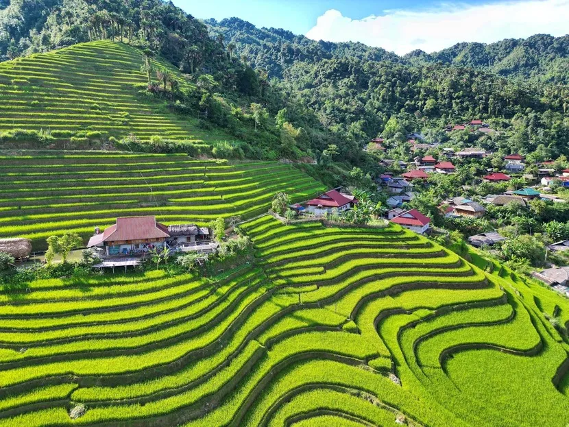 rizière khuoi my, montagne tay con linh