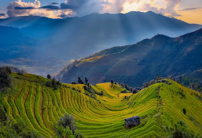 riziere a mu cang chai vietnam