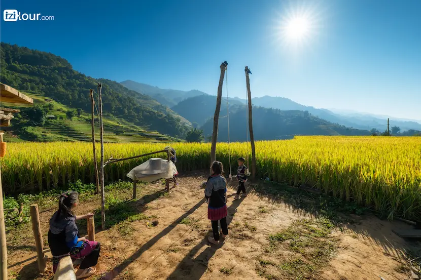 riziere en terrasse mu cang chai