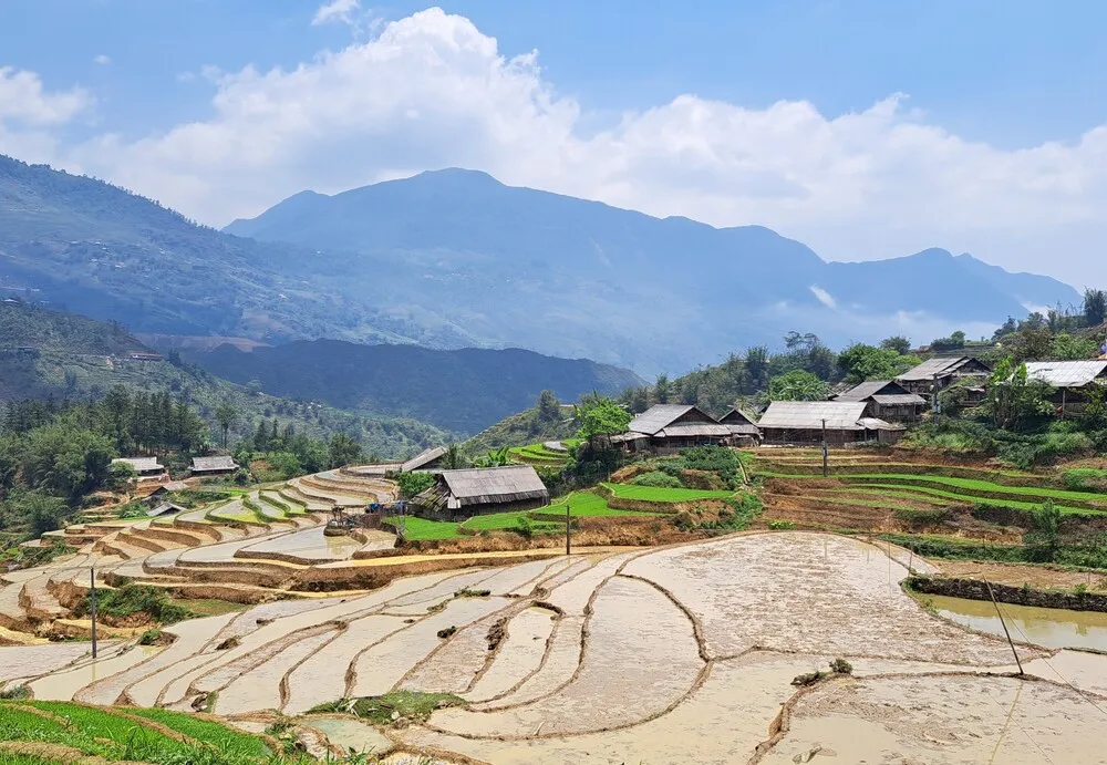 riziere sapa