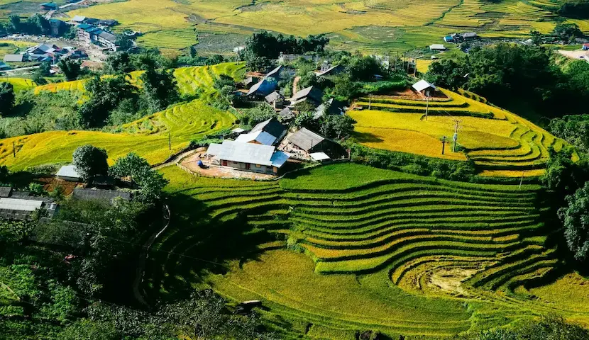 ta van village in golden season