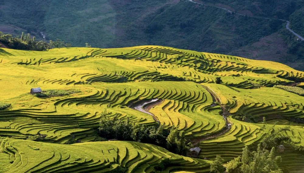 riziere en terrasse sapa