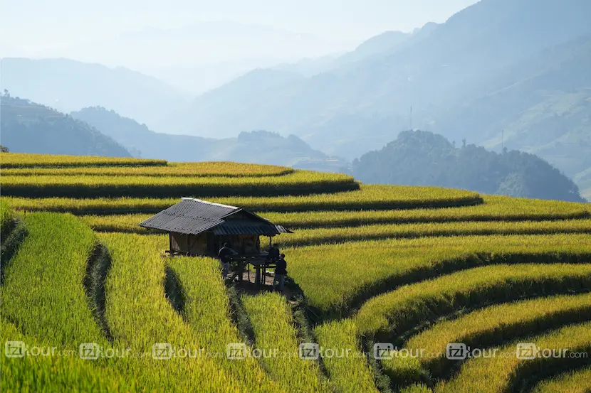 mu cang chai riziere vietna