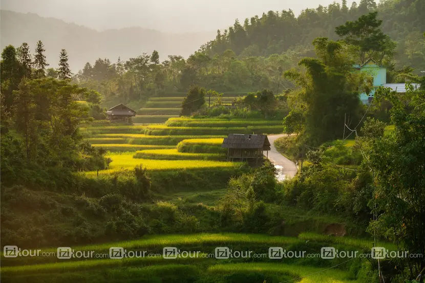 riziere vietnam nam hong