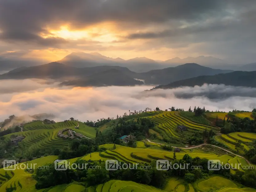 riziere vietnam hoang su phi