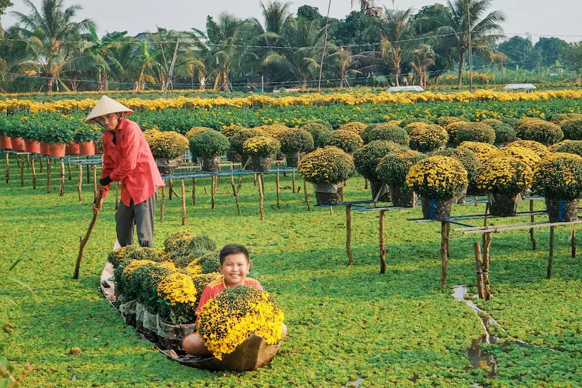 village de fleur sa dec a dong thap vietnam