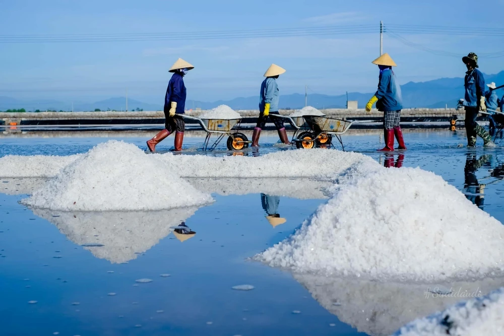 vietnam photography tour salt field