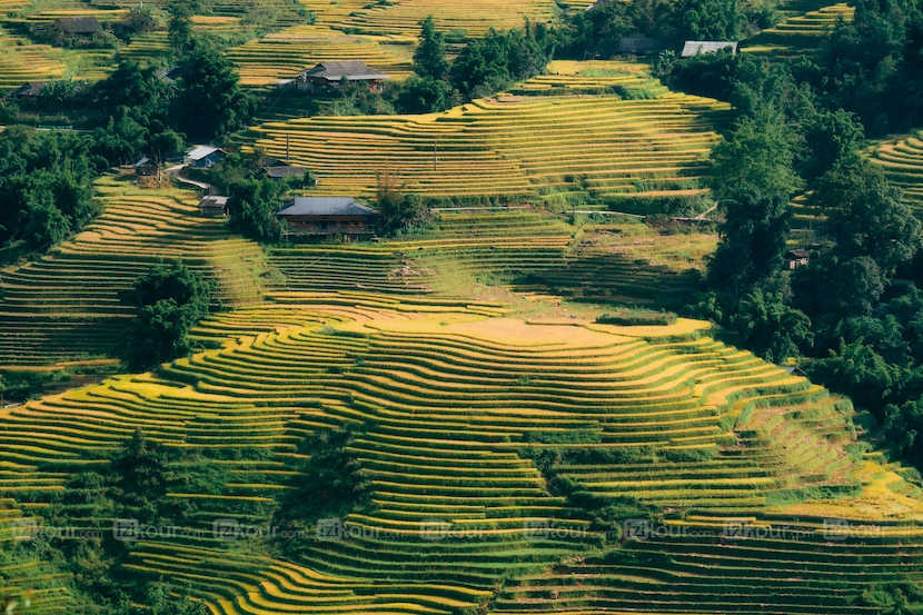 best time to go to sapa vietnam