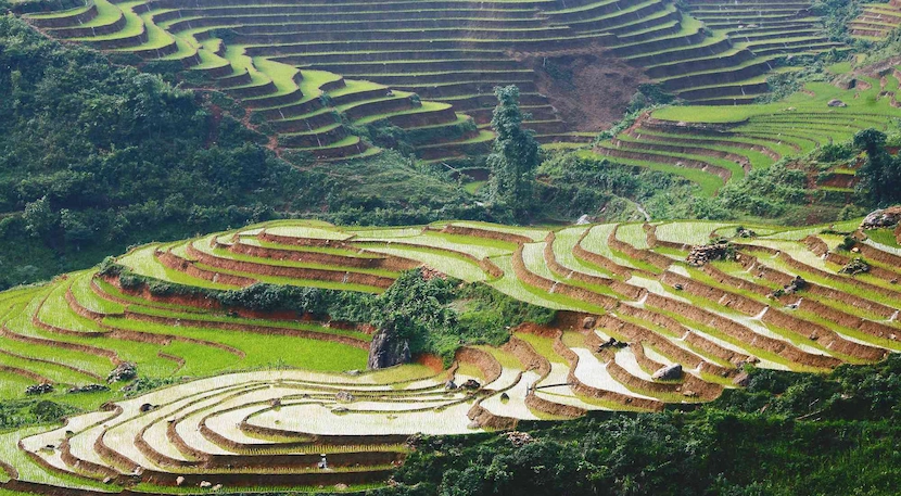 sapa terrace fields full with water