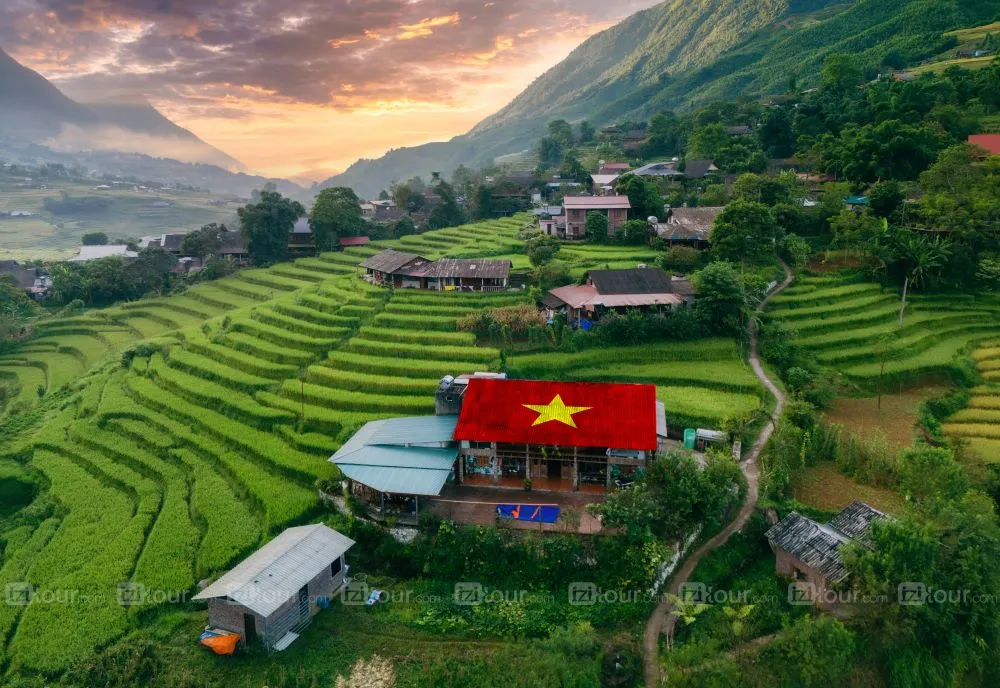 sapa terrace rice field