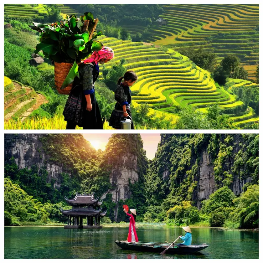 Sapa or Ninh Binh