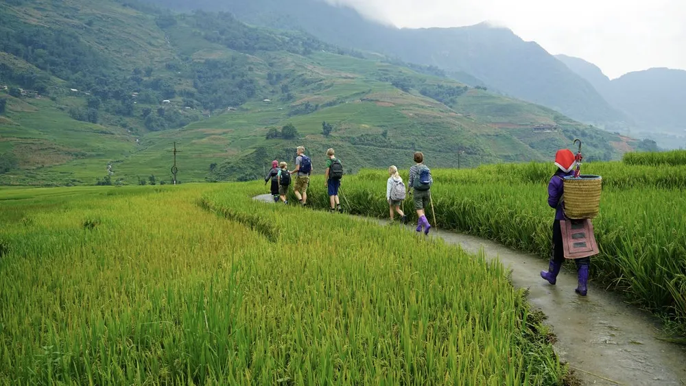 terrazzamenti di riso sapa