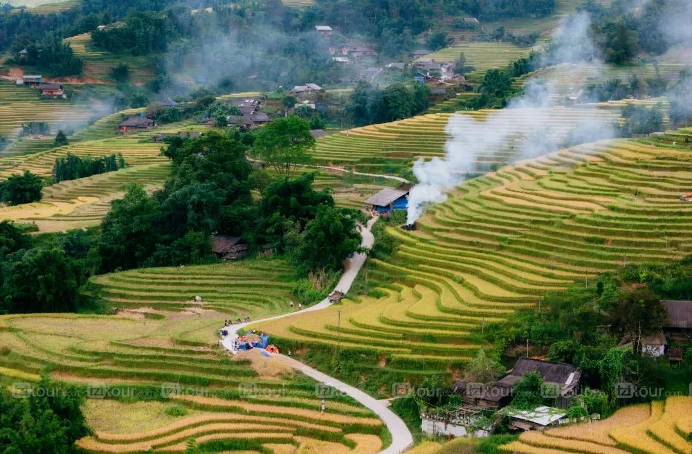 y linh ho sapa vietnam rice fields