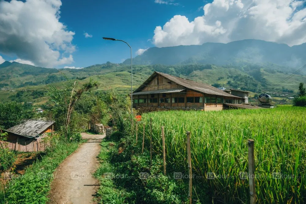 sapa rice paddies in ta van