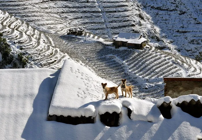 sapa snow in winter