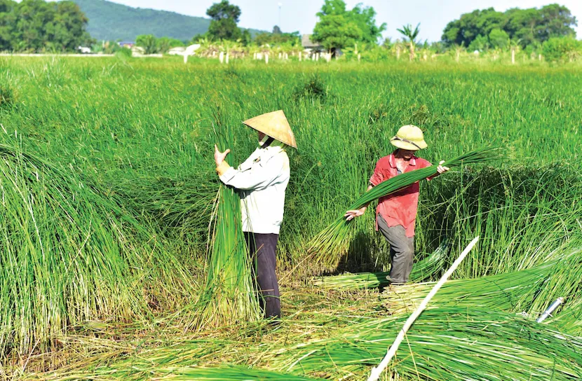 kim son ninh binh handicraft