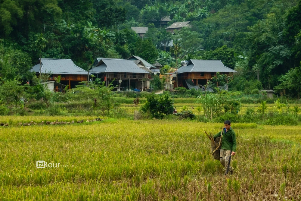 Paisajes de arrozales y monta&ntilde;as en Pu Luong.