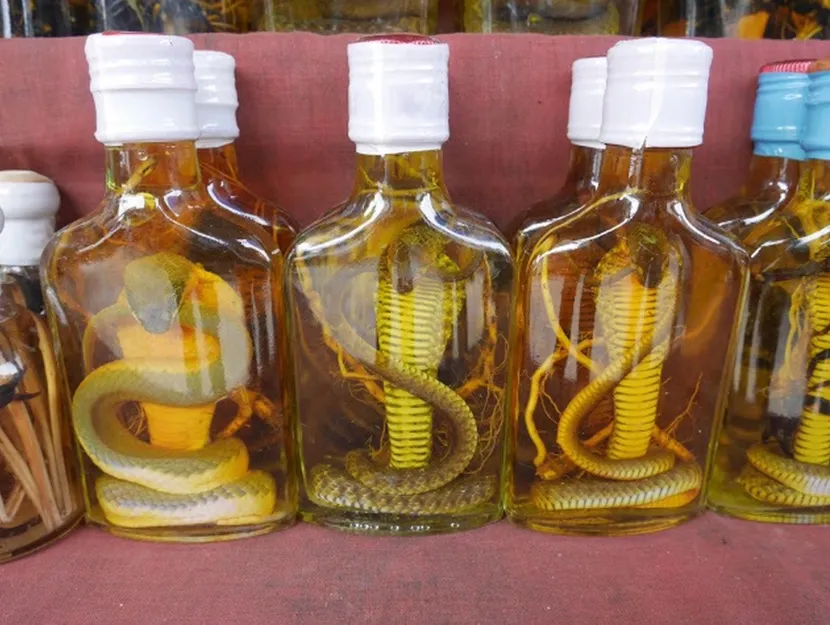 glass bottle of traditional snake wine