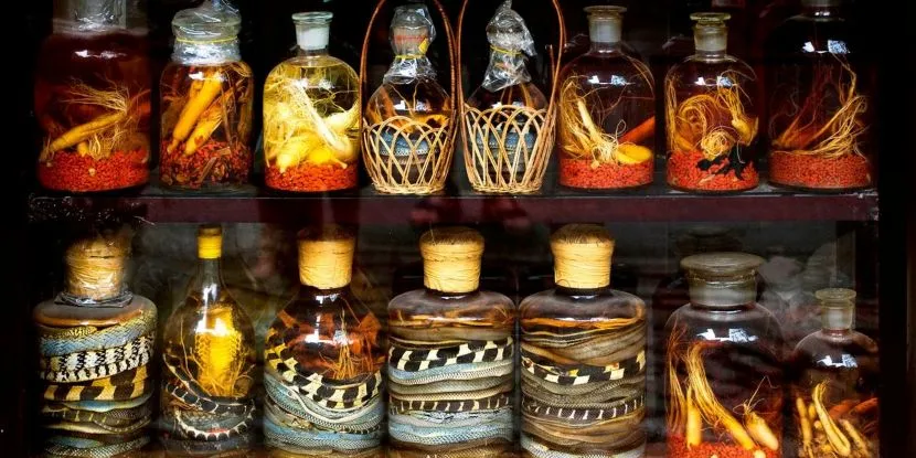 several bottles of snake wine