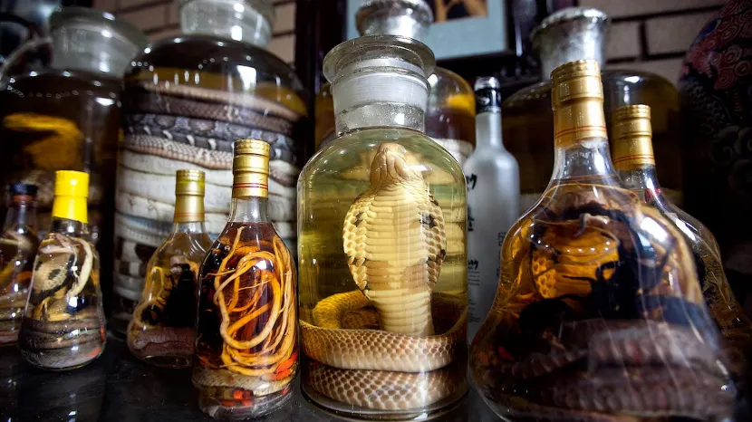 some wine bottles containing snakes and others with scorpions