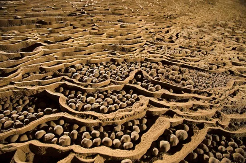 mille pietre a forma della perla nella grotta di son doong formatesi nel corso di migliaia di anni