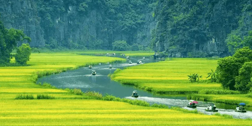 tam coc ninh binh riziere