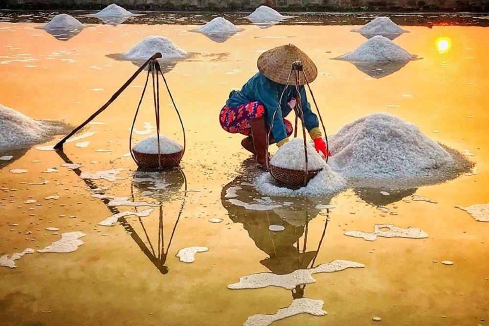 Salt workers harvesting high-purity sea salt crystals in the shimmering fields of Sa Huynh