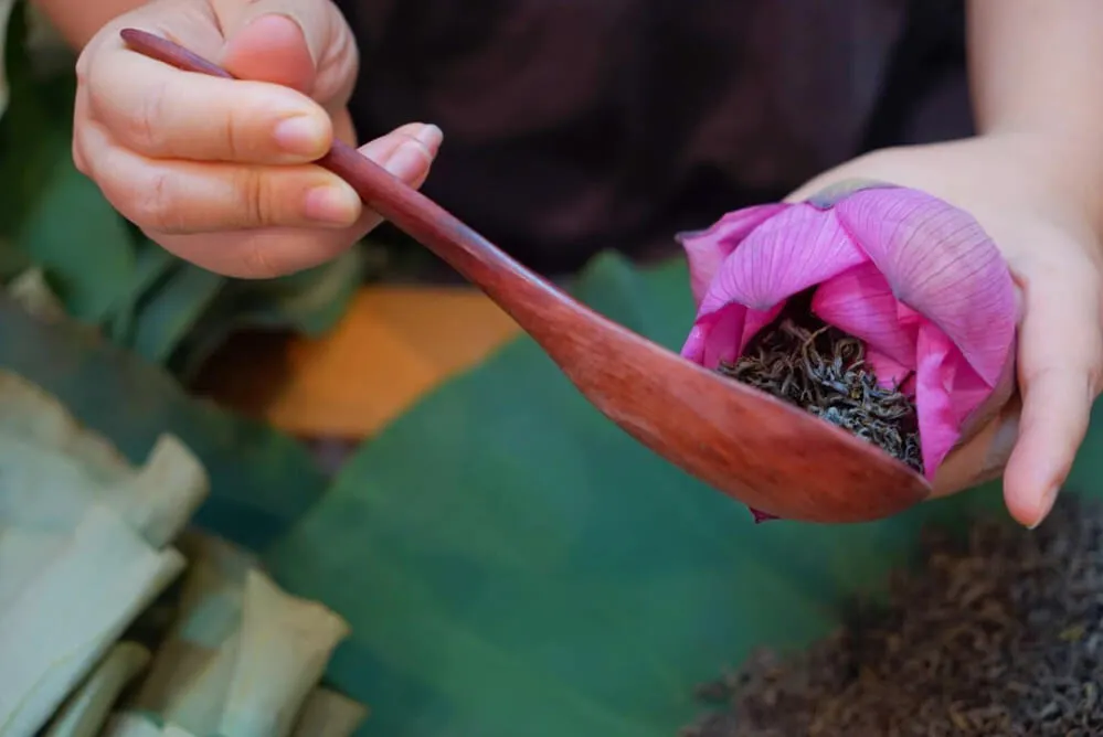 un método rápido para preparar té de loto vietnamita